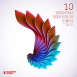 10 Essential Deep House Tunes Vol 13