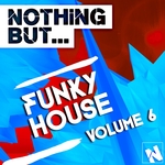 Nothing But Funky House Vol 6