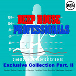 Deep House Professionals: Exclusive Collection Part 2