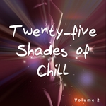 Twenty-Five Shades Of Chill Vol 2