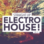 Straight Up Electro House! Vol 13