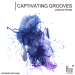 Captivating Grooves Vol 3