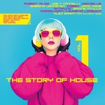 The Story Of House Vol 1