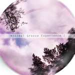 Minimal Groove Experience 2