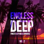 Endless Deep (Finest Deep House Grooves Vol 2)