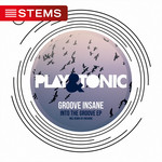 Into The Groove EP