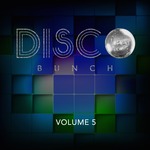 Disco Bunch Vol 5
