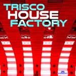 Trisco House Factory