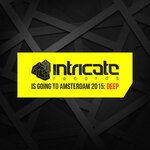 Intricate Records Is Going To Amsterdam 2015: Deep