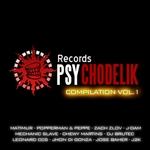 Psychodelik Records Compilation Vol 1