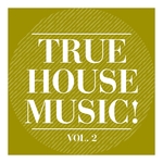 True House Music Vol  2
