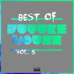 Best Of Future House Vol 5