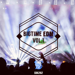 Bigtime EDM Vol 1