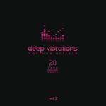 Deep Vibrations/20 Deep House Beats Vol 2
