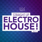 Straight Up Electro House! Vol 14