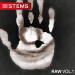 Raw Vol  1 Stems