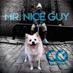 Mr Nice Guy