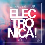 Straight Up Electronica! Vol 2