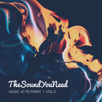 TheSoundYouNeed Vol 2 (unmixed Tracks)