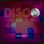 Disco Bunch Vol 7