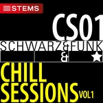 Chill Sessions Vol  1