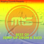 Best Of Jump Up Drum & Bass: Compilation Series