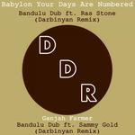 Darbinyan Remixes