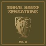 Tribal House Sensations Vol 3