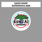 Supernova 2008