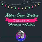 Zelebra Deep Vibration Selection #1