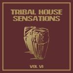 Tribal House Sensations Vol 6