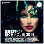 Best Of Tech House 2015 (unmixed tracks)