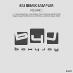B4j Remix Sampler 01