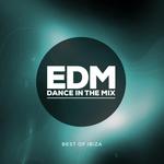 EDM Dance In The Mix (unmixed tracks)