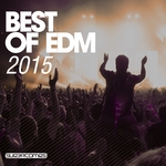 Best Of EDM 2015