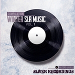 Sliver Recordings/winter Music Vol 1