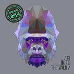 In To The Wild Vol 13