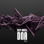 Deep House DNA Vol 2