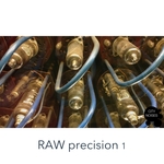 Raw Precision Vol 1