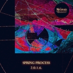 Spring Process 2016