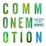 Common Emotion (Remixes)