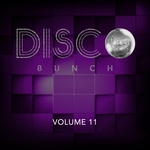 Disco Bunch Vol 11