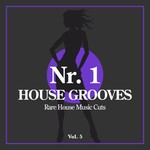 Nr 1 House Grooves Vol 5 (Rare House Music Cuts)