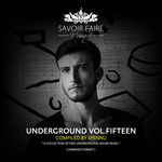 Underground Vol Fifteen (Compiled By Spennu)