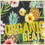 Organic Beats Vol 6 (Electronic Music Sampler)