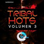 Tribal Hots 3
