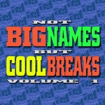 Not Big Names But Cool Breaks Vol 1