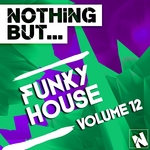 Nothing But... Funky House Vol 12