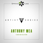 Artist Choice 043 Anthony Mea: Liquid DnB Selection (unmixed tracks)