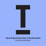 Love You So Much Feat Trina Broussard